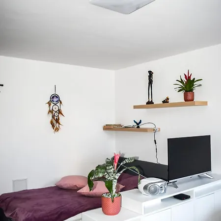 River Ljubljanica Apartman