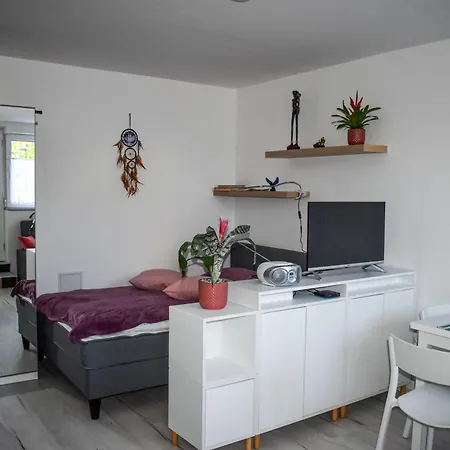 River Ljubljanica 류블랴나