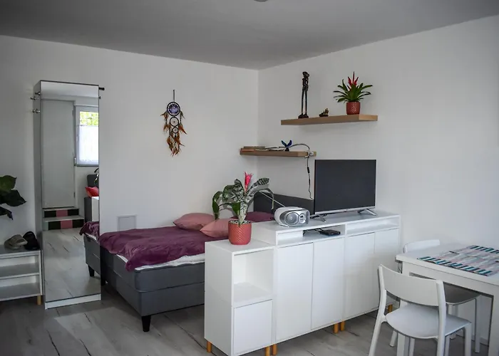 River Ljubljanica ليوبليانا